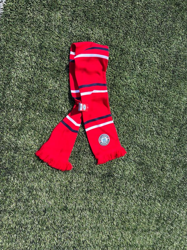Embroidered Bar Scarf
