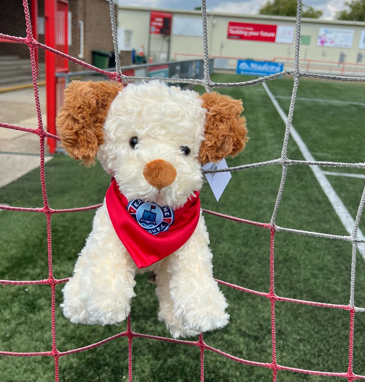 Toy Dog EBFC Neck Scarf