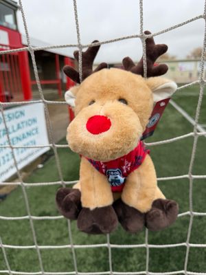 EBFC Reindeer Soft Toy EBFC Reindeer Soft Toy
