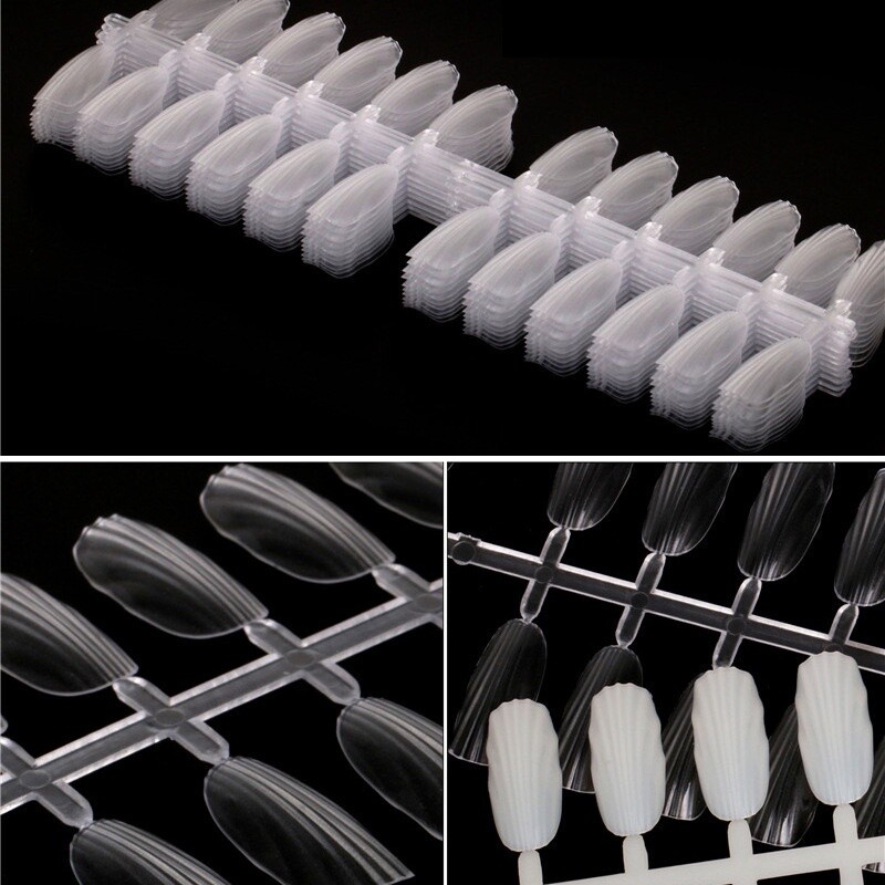 Shell Shape Nail Color Chart (240pcs), color: Clear