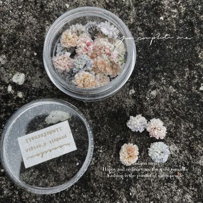 Dried Flowers Nail Art 02