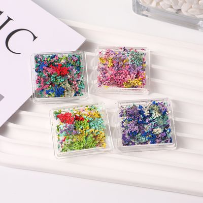 Dried Flowers Nail Art 01