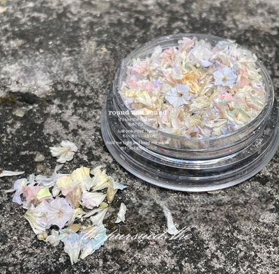 Dried Flowers Nail Art 03