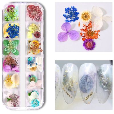 Dried Flowers Nail Art (12 Grids Box )