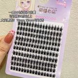 MJSP  False Eyelashes 10 MM