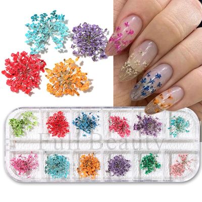 12 Grids 3D Dried Flower Nail Sticker