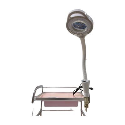 Magnify LED Lamp with Adjutable Mount Loop