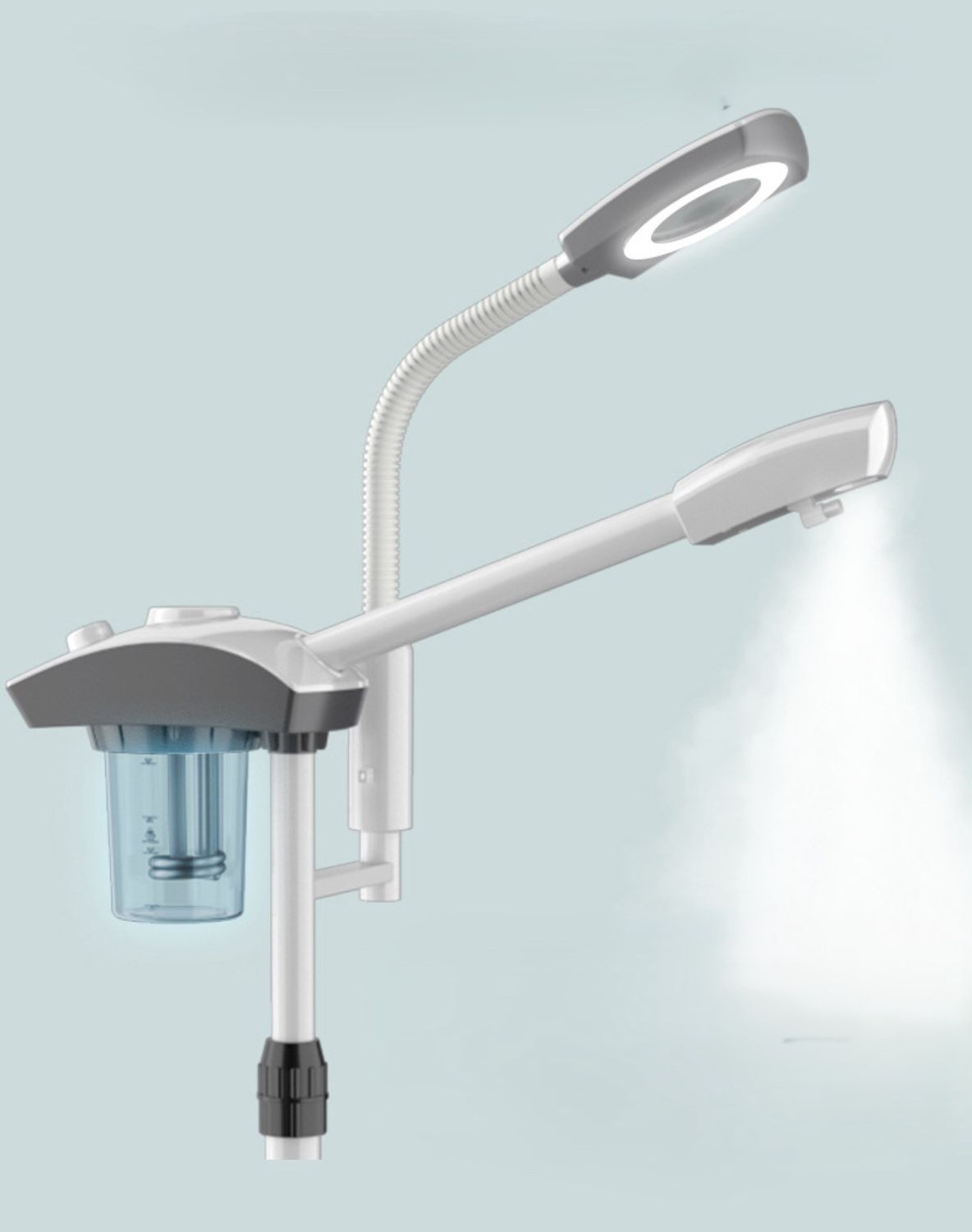 Champion Facial Steamer, Name: With Lamp