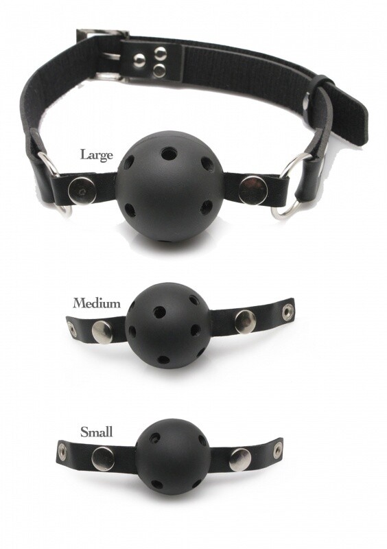 Ball Gag Training System