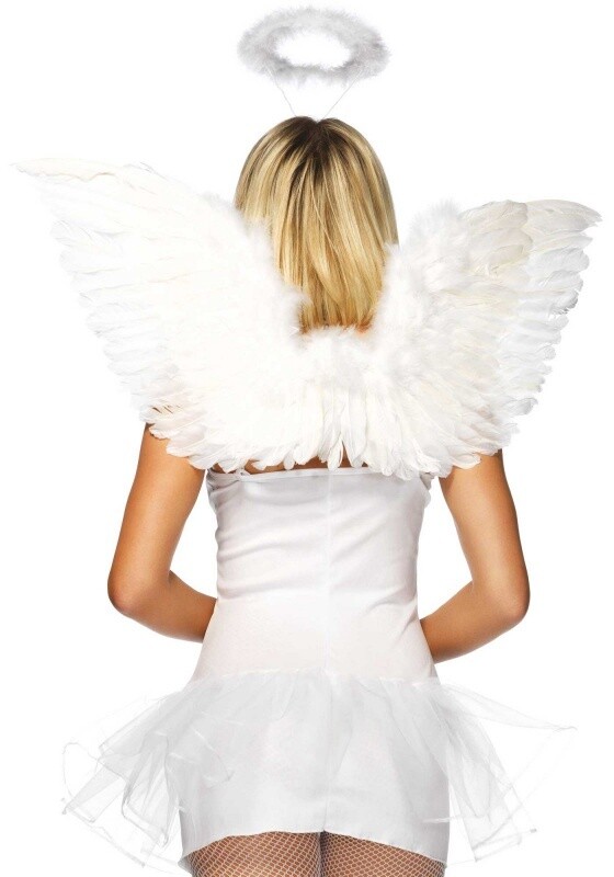 Angel Accessory Kit