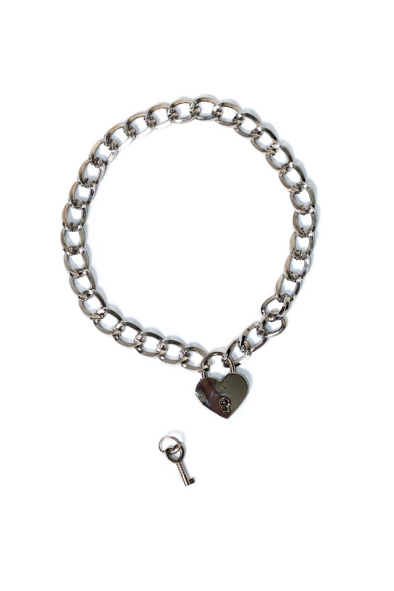 De kraag Party Hard Embrace Silver