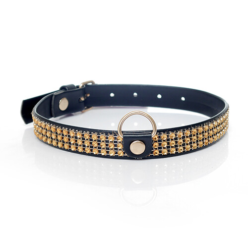 Fetish Boss Series Kraag met kristallen 2 cm goud