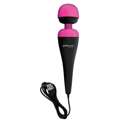 Palm Power - Plug  en amp Play Wand Vibrator