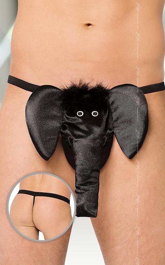 String 4416  en ndash Zwart Olifant