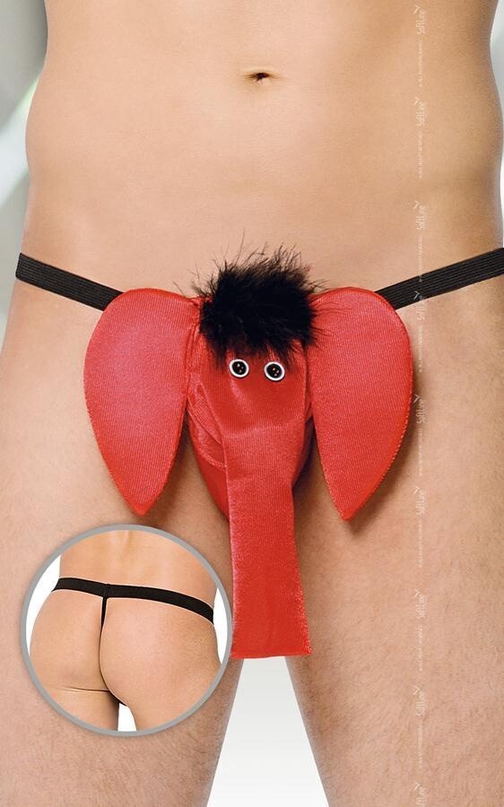String 4416  en ndash Rood Olifant