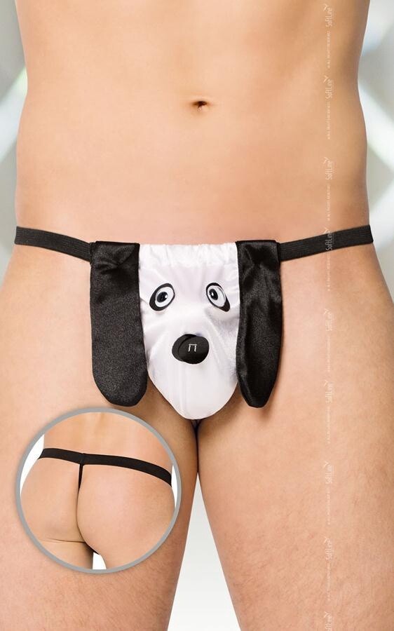 String 4422  en ndash Wit Dog