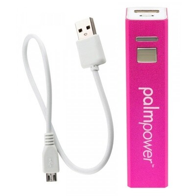 Palm Power - Plug  en amp Play Wand Vibrator