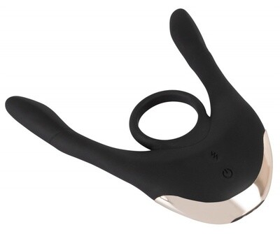 Multi-Function Couple en rsquos Vibrator