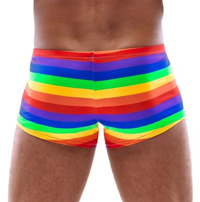 Boxer Regenboog