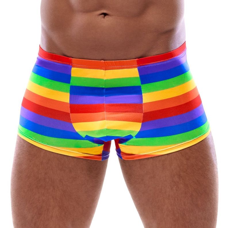 Boxer Regenboog