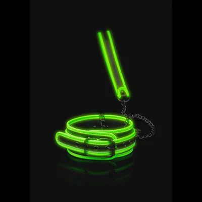 Collar and Leash - Glow in the Dark