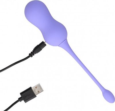 Vibrerend Ei met Afstandsbediening Violet Harmony