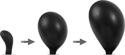 Rimba Latex Play - Opblaasbare Gebogen Anaalplug met Pomp - Zwart