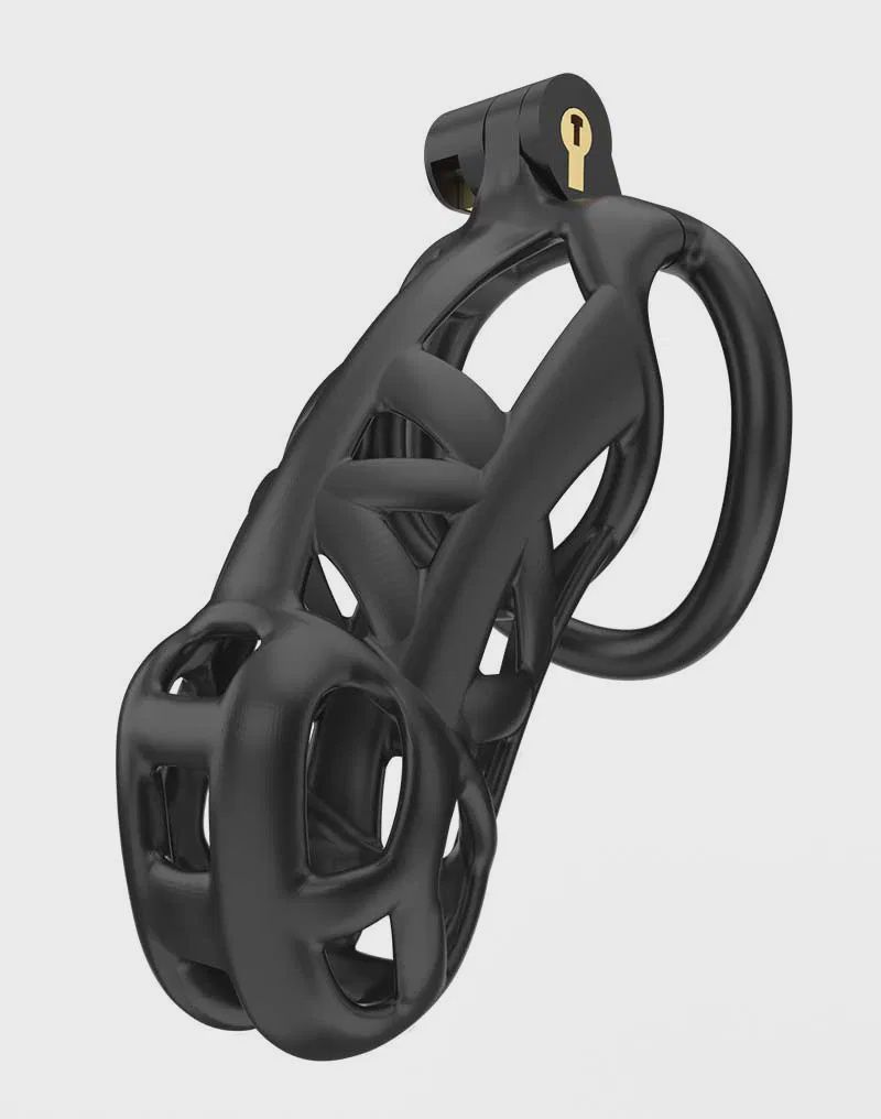 P-Cage PC01 L