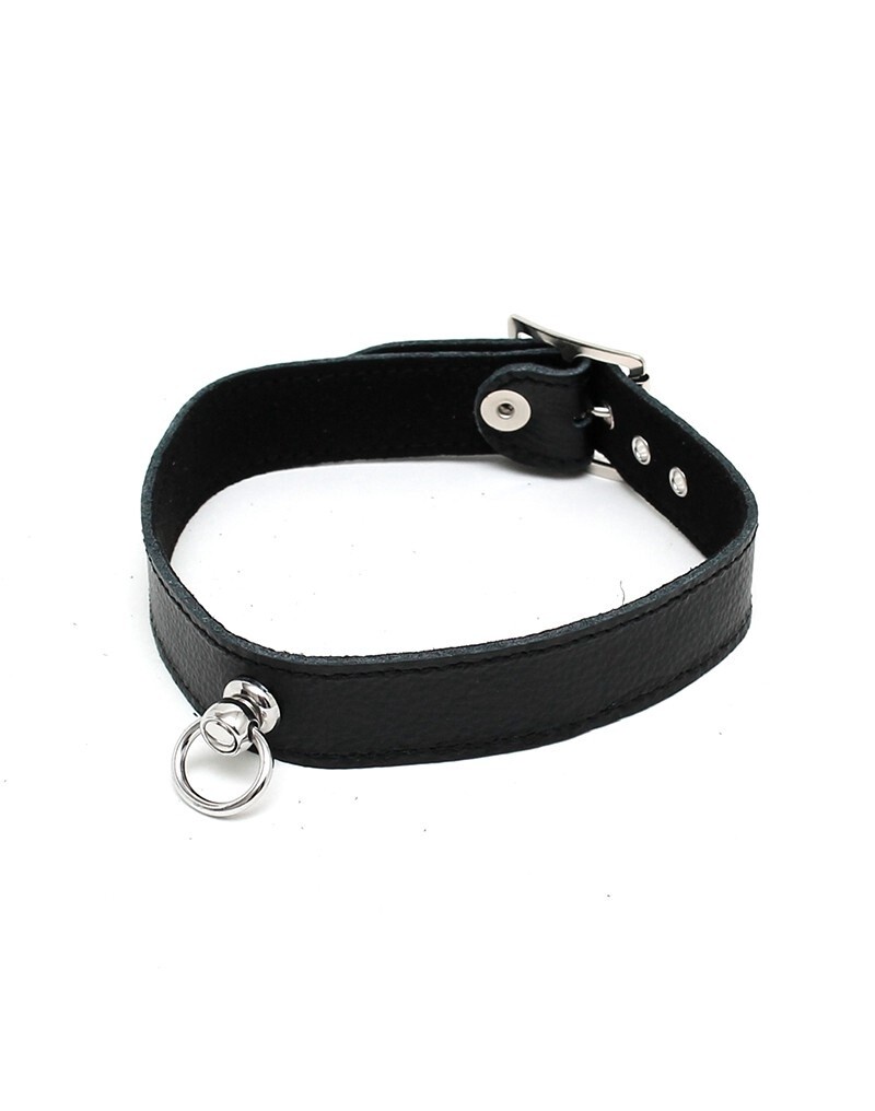 HALSBAND 2.5 CM BREED GLAD ZONDER SIERNIETEN