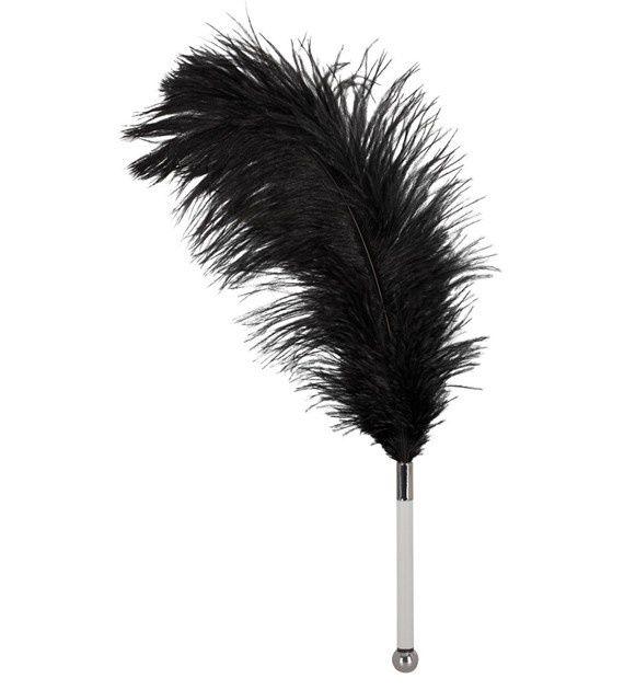 Bad Kitty Tickler met Struisvogel Veer en Glazen Handvat