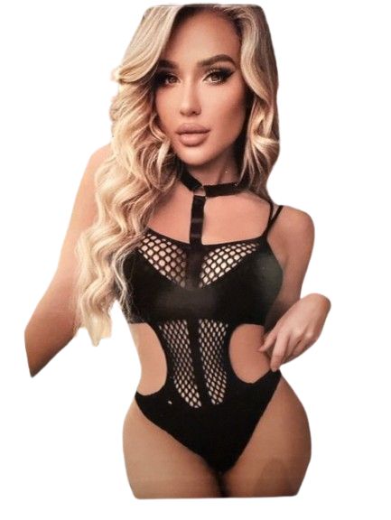 Vivi Dessous Midnight Desire Mesh Teddy