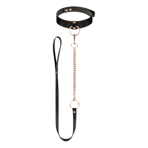 Rosy Gold - Halsband met Leash - Zwart