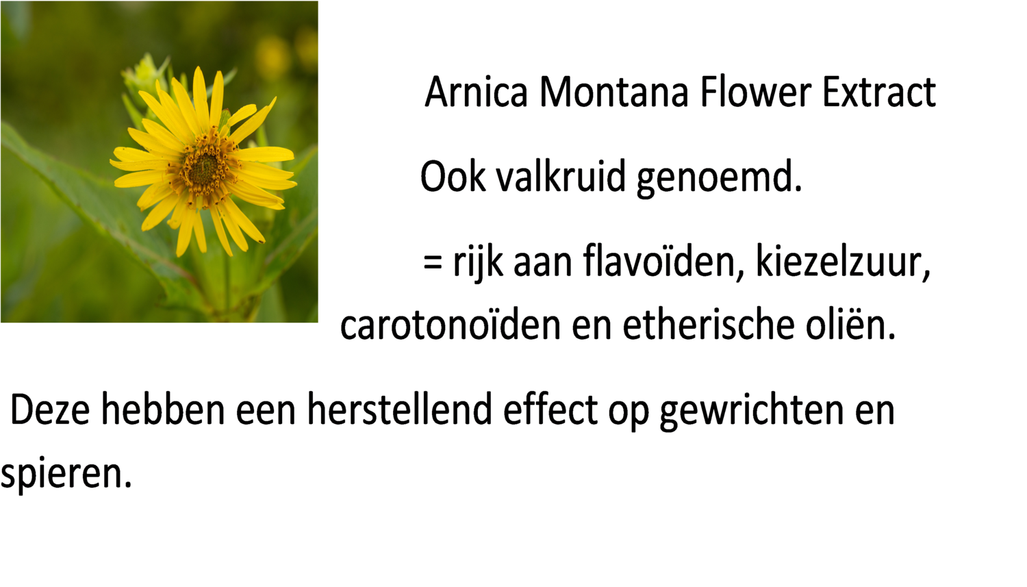 Krachtige Badkristallen - Arnica