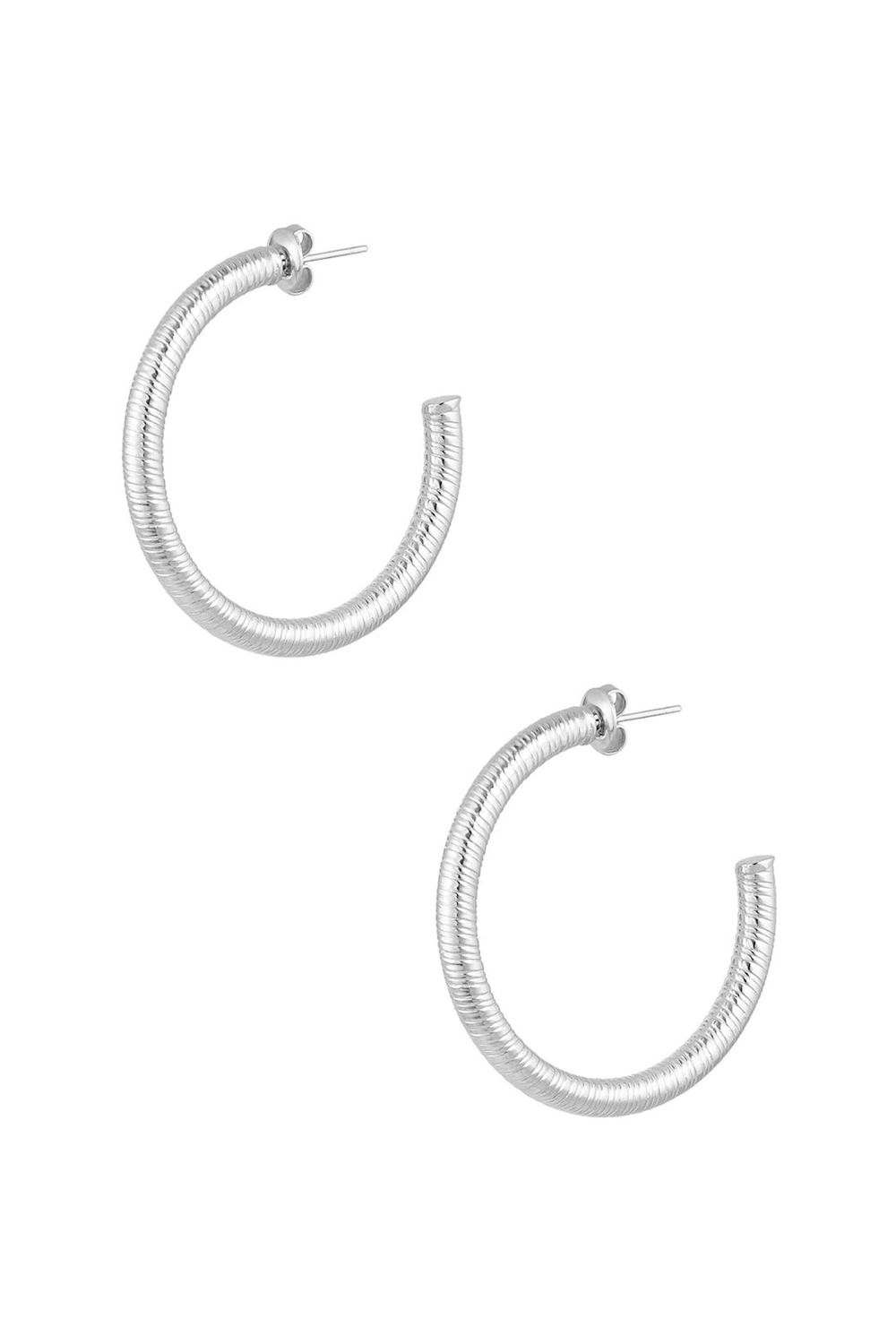 Snake Print Hoops - Grote Oorringen - Stainless steel oorbellen - cadeau voor haar - cadeau tip - zilver - goud
