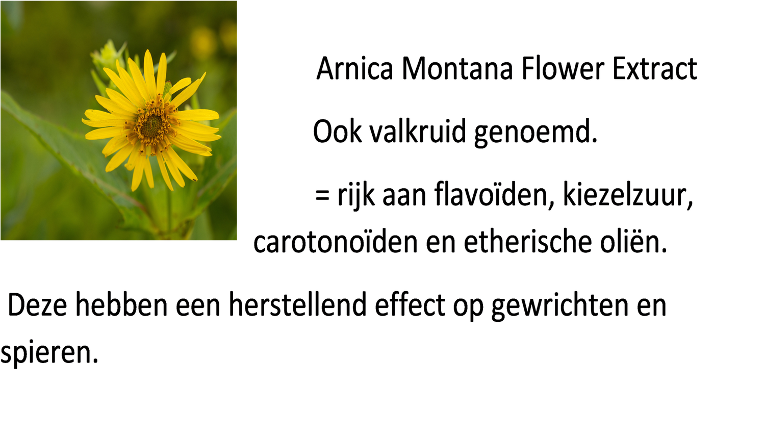 Krachtige Badkristallen - Arnica