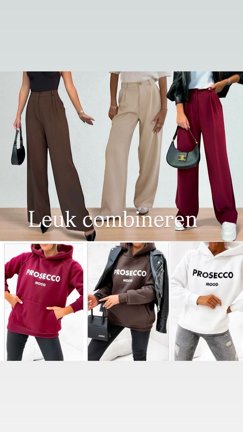 High-Waist Wide Leg Pantalon – Elegant &amp; Comfortabel | Dames Broek in Bruin, Beige, Zwart &amp; Bordeaux