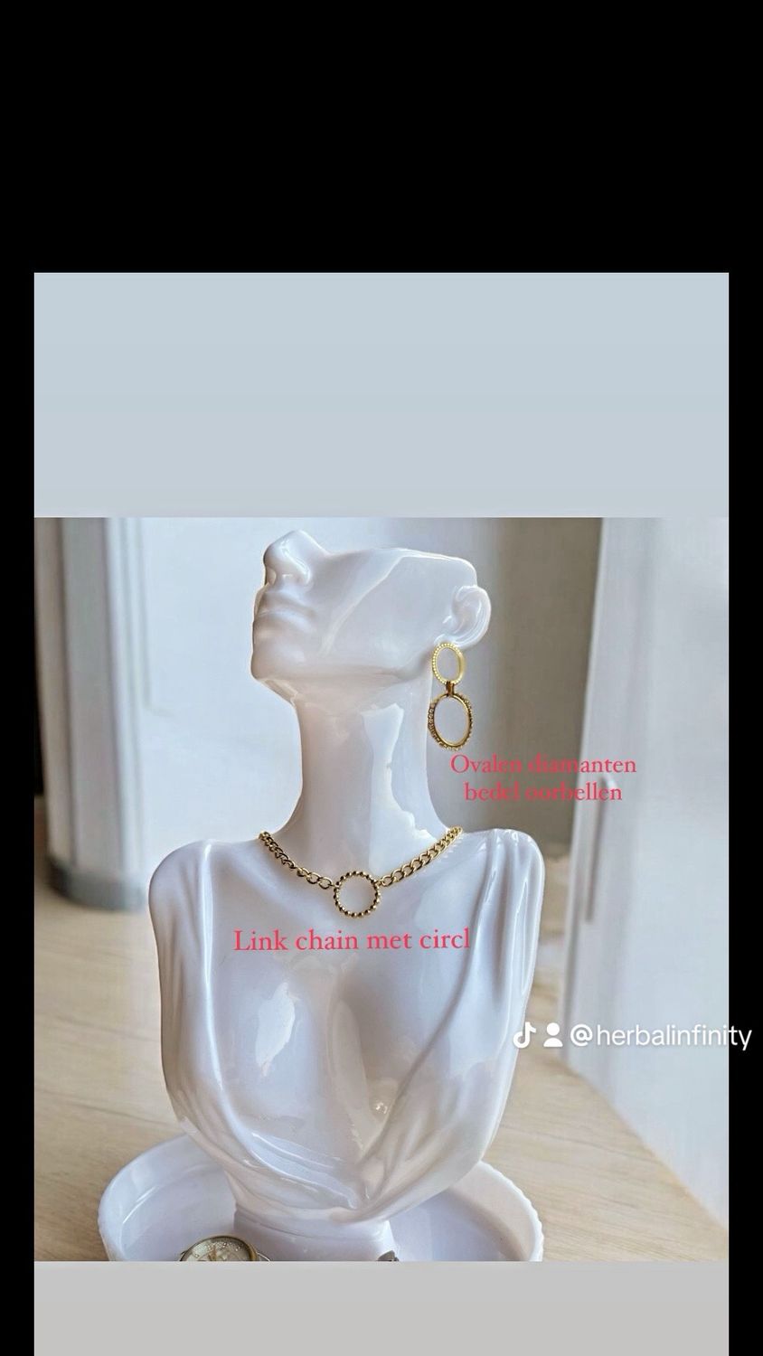 Ovalen Diamanten Bedel Oorbellen - Stainless Steel oorbellen - Lange hang oorbellen