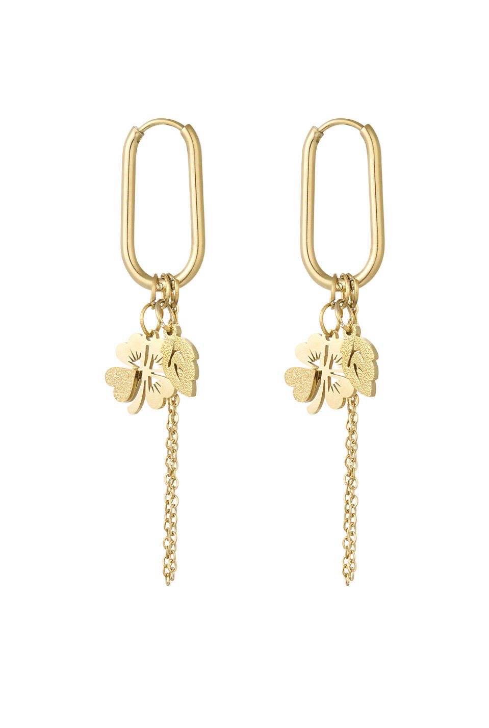 Hang Oorbellen - Stainless Steel Oorbellen- Nikkelvrij Oorbellen- 100% Water Proof