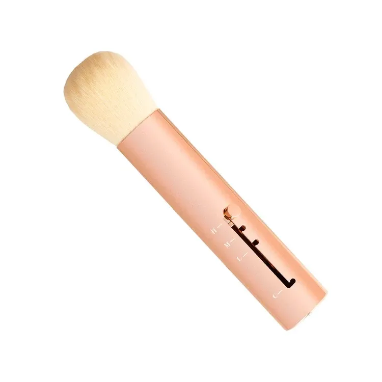 Cent Pur Cent Retractable Brush