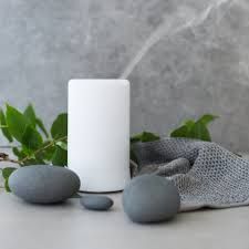RainPharma Aroma Diffuser 100 ml