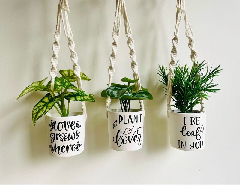Plantenhanger mini met hangpotje