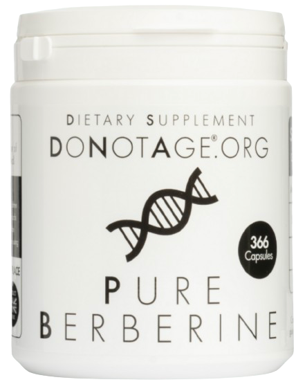 Berberine 60 caps -1 Monatspaket- 500mg pro Kapsel