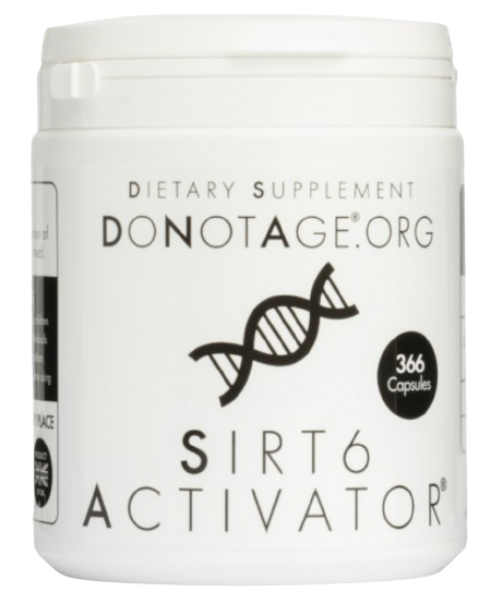 SIRT6Activator 366 caps 400mg pro Kapsel SIRT6Activator 366 caps 400mg pro Kapsel