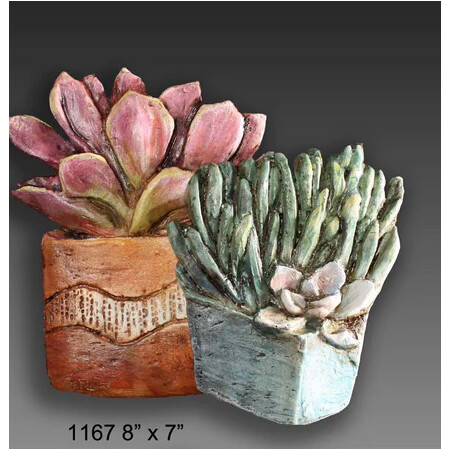 Small succulent potted plants