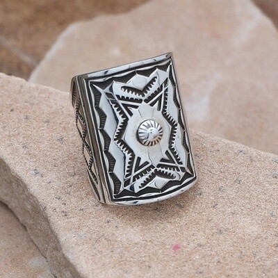 Curved rectangular silver ring