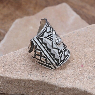 Curved rectangular silver ring