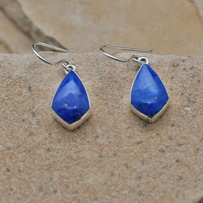 Small uniquely shaped dangle Lapis earrings