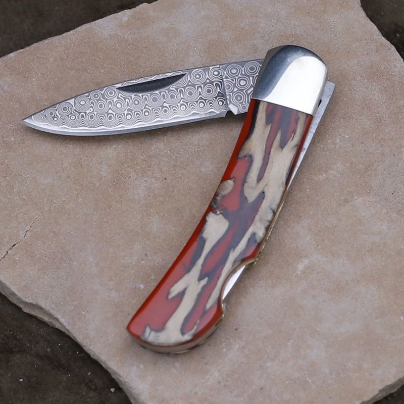 Cholla wood &amp; red resin inlay w/ Damascus blade