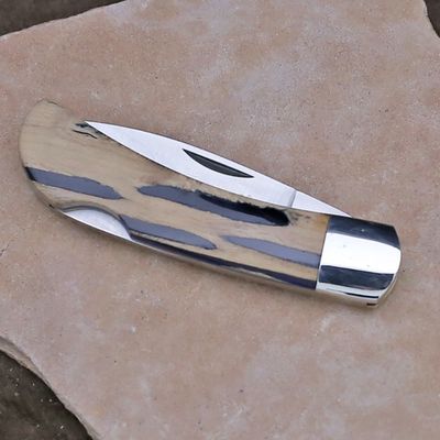 Cholla wood &amp; blue resin inlay pocket knife