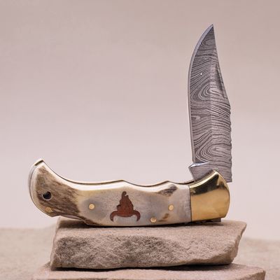 Antler &amp; brass handle folding knife w/Cow Skul
